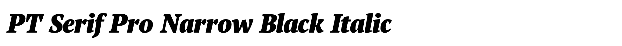PT Serif Pro Narrow Black Italic image